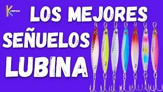 🎣Los Mejores Se&ntilde;uelos para Lubinas a Spinning ⚡Se&ntilde;uelos de Pesca Amazon y Aliexpress