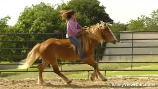Atlas***For info, price, etc., go to our website: ValleyViewRanch.net***