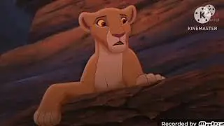 Simba vs Shere khan vs Sabor