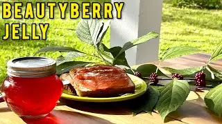 Всё об американском Beautyberry, плюс как приготовить желе Beautyberry