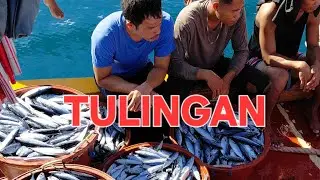 MANO MANO PAGSALOK  #fishing #tulingan #fish #mackerelfishing #mackerel 