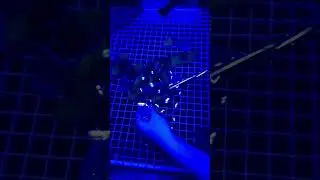 Fragging our first toadstool leather coral! #coralreef #coral #saltwateraquarium