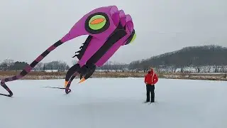 New Years Day Kite Fly - Trilobite 16