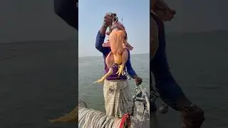 Amazing Fishing idea- 07 #fishing #bait #hook #village