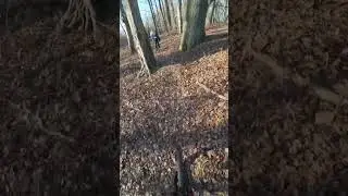 Mein Homespot