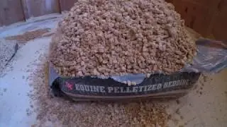 Goat barn and bedding...easy clean-up and smells fresh!