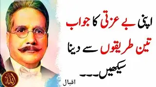 Allama Iqbal Ka Tareeqa Beizzati Ka Jawab Dene Ka | Aqalmandi Se Bhari Nasihat