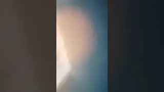 Suimtas Paluckienės įmonės vadovas. Premjeras vadovaus mums i&scaron; tremties dėl to paties? 