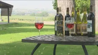 Explore the Treasure Valley&rsquo;s wine country all in one stop at the Sunnyslope Wine Festival
