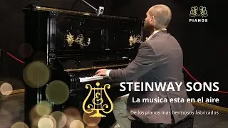 PIANO STEINWAY&SONS La música esta en el aire! #pianosteinway VENTA DE PIANOS