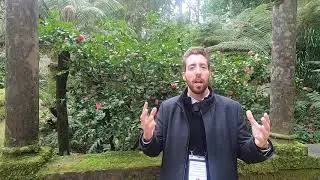Visita guiada ao Chal&ecirc; da Condessa d' Edla - cam&eacute;lias;