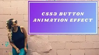 CSS3 Button Hover Animation | Button Hover Effect