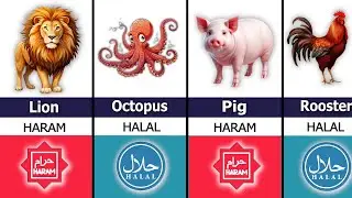 💔 List of Halal and Haram Animals Meats in Islam 2025