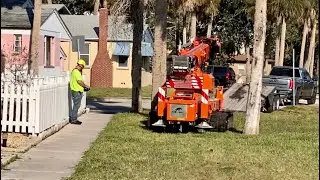 A Mini Crane removal in St. Augustine