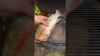 Do you guys like the taste of trout? #fyp #rainbowtrout #cookingtrout #browntrout #fishrecipe #trout