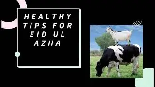 8 Healthy Tips for Eid ul azha