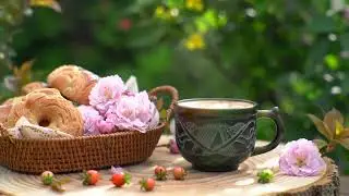 Warm Jazz Music in the spring Morning and Bossa Nova Instrument for Working, Studying and Relaxing