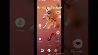 bondex new update