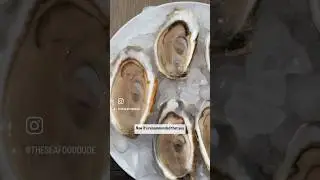 12/$12 #Oysters at @wholefoods every Friday for #amazon #prime members #seafood #food #shop #yum