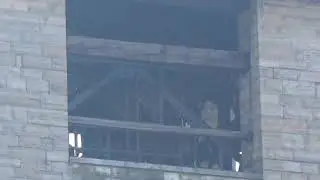 Le campane di Como - Cattedrale di Santa Maria Assunta