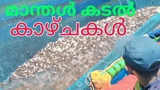മാന്തൾ അടിപൊളി കടൽ കാഴ്ച 👍🏼#fishingvideos #fish #travel #fishing #