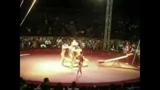 LOS QUEMEL CIRCUBA CUBA BASCULA