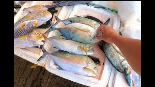 Early Fish Shopping🤣🤣🤣