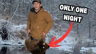 Trapping a Beaver in ONE NIGHT