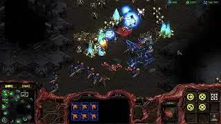 Abstiegskrieger zockt worauf er Bock hat #765 || StarCraft Brood War