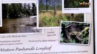The new Atlas of Florida's Natural Heritage- dimensions