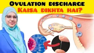 Ovulation Discharge Kaisa Hota Hai? Ovulation Discharge Hindi.Ovulation  And Pregnancy.