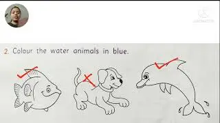 Model Test Paper | General Science |Class-UKG #learnknowshare #education #activity