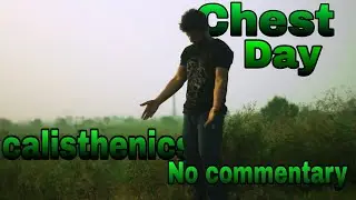 Chest Day Calisthenics | Push-Up Variations in Nature | No Commentary Workout #calisthenic #gym 