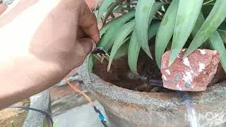 Smart Agriculture Monitoring System Using NodeMCU , Anedya IOT Cloud & Steamlit