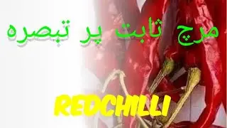 Red Chili Market Update: Prices, Demand, and Future Outlook