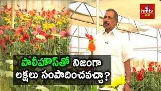 Polyhouse Farming Profits and Advantages | Ideal Farmer Narasimha Reddy | hmtv Agri