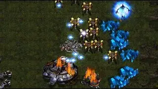 Mihu the Great 🇨🇳 (T) vs Sn0w 🇰🇷 (P) v on Neo Sylphid - StarCraft  - Brood War