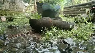 EVERY RAIN IS A BLESSING |SHOWING YOU MY GARDEN by BHING - Gardening