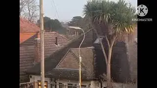 Funny MP4 First video of march 2026