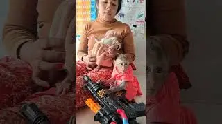 Adorable baby monkey family #monkey #leo #Loe #Joe #cute #care #pets #animals (1