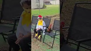 Cock-a-doodle doo 🐓 🐔 #funny #chicken #rooster