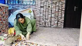 Women Life Freedom in Iran | Rural Mother&rsquo;s Story | DIY Mattress Rebuild & Cozy Village Evening