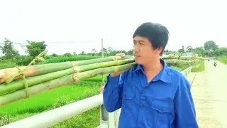 Trieu Man went to get bamboo to make a pole to help Phuong dry clothes in the yard
