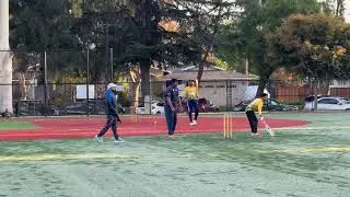 CricBay Fall Open 2025 Pre-Quarter Finals: Pakka Nimbooz vs. Vulcans