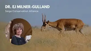 WCN Fall Expo 2019: Saiga
