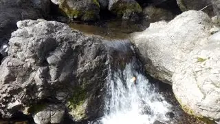 Prospecting the BB3 claim (Blakeburn creek)