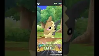 Rosemary et Morpeko contre Kahili et Bazoucan comabt conseil des 4 Alola  Pokemon Master