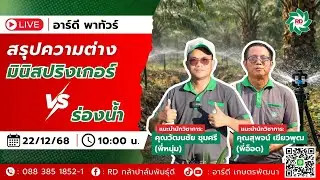 สรุปความต่างมินิสปริงเกอร์VSร่องน้ำ แบบไหนเหมาะกับสวนคุณ?