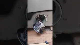 How to clean IFB washing machine.washing machine cleaning.washing machine tub drum clean