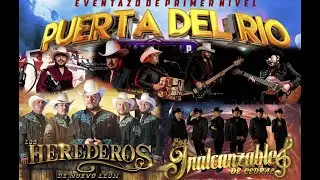 Baile Puerta Del Rio 2025
